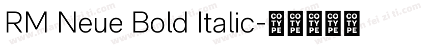 RM Neue Bold Italic字体转换